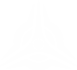 Cosmic Anomaly universal symbol